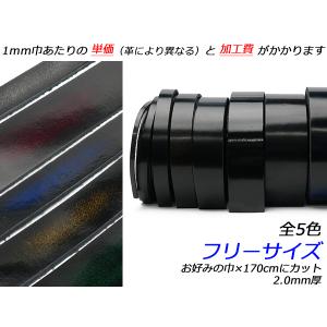 アドバンレース　フリーサイズ 全5色 お好みの巾×170cm 2.0mm厚 1本[レザークラフトぱれっと] [価格変動品] レザークラフト革ひも レ
