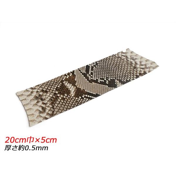 【切り革】ダイヤモンドパイソン ナチュラル 20cm巾×5cm 約0.5mm 1枚【メール便対応】 ...
