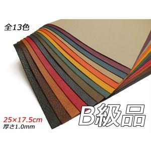 レザーサンプルセット 革サンプル帳 全14種 各種【メール便対応】 [協進エル] レザークラフト