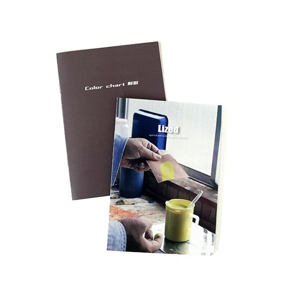 【Lized】塗料色見本（Lizedカラーチャート解説付）【メール便対応】 [ぱれっと]  レザーク...