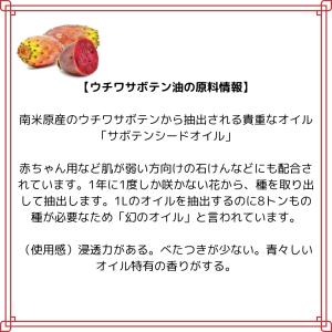 ウチワサボテンオイル 100ml モロッコ サ...の詳細画像2