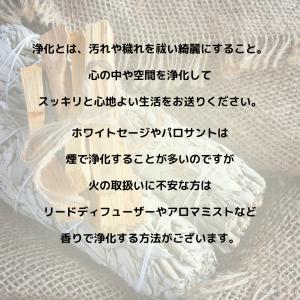 浄化用スプレー 100ml 国内製造 選べる4...の詳細画像2