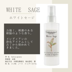 浄化用スプレー 100ml 国内製造 選べる4...の詳細画像3