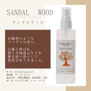 浄化用スプレー 100ml 国内製造 選べる4...の詳細画像4