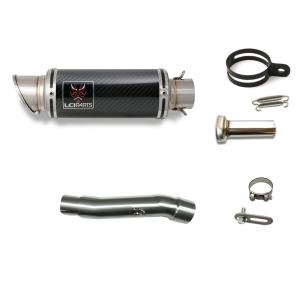 カワサキ ニンジャ ZX-25R / SE 2020-2022 LCIPARTS ツインエンド