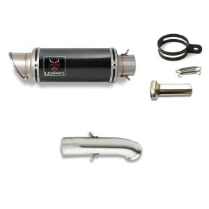 カワサキ ZX-4R SE ZX-4RR 2024- LCIPARTS ツインエンド ステンレス