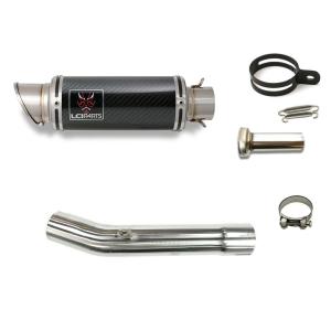 ヤマハ FZR250R 1989-(3LN) DANMOTO カーボン スリップオンマフラー