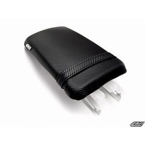 カワサキ ZZR400 ZZR600 1990-2008 DANMOTO カーボン スリップオン