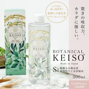 ボタニカルケイソ 500ml 高濃度10000ppm 濃縮溶液 植物性シリカ シリカ水 シリカ ケイ素 水溶性 効果 サプリ サプメント 珪素 ボタニカルケイ素