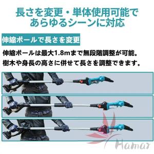 充電式 高枝 チェーンソー 電動高枝切り 6イ...の詳細画像5