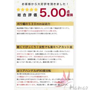 新型ヘッジトリマー 充電式 電動ポールヘッジト...の詳細画像1