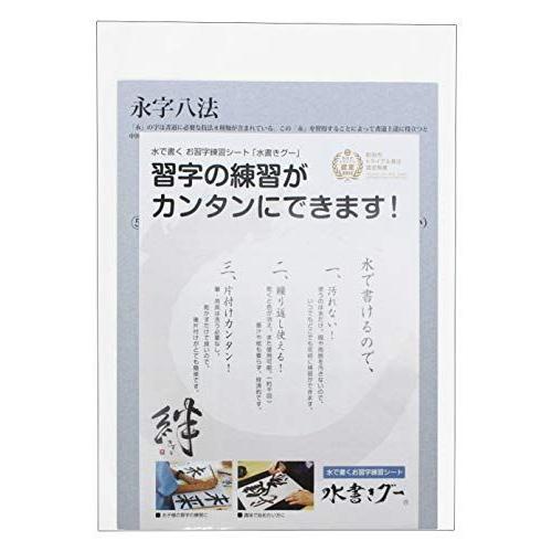 木と字の神林 半紙 水書きグー 水で書く習字練習シート 紙タイプ 3枚 黒 K-HS-EIJI-3