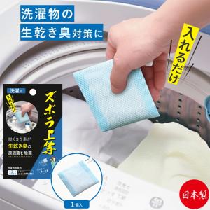 部屋干しの臭い対策に ズボラ上等 洗濯用 除菌 消臭 生乾き 臭 洗濯機 洗濯槽 ニオイ 部屋干し 対策 簡単 便利 ズボラ 洗濯 グッズ 日本製 3ヶ月持続