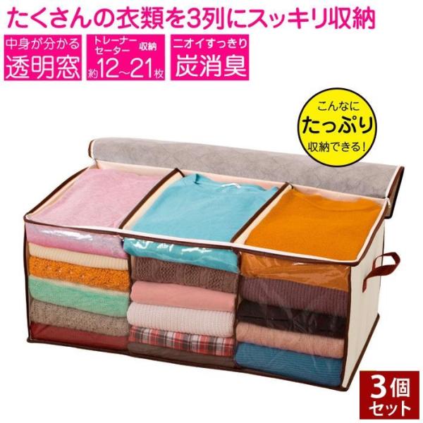 炭消臭 大収納衣装袋 3個セット 衣類 収納 ケース 不織布 仕切り付き 収納袋 衣替え