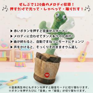 ダンシングアミーゴ しゃべる サボテン 音楽が...の詳細画像3