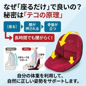 コシオスプレミアム cosios premiu...の詳細画像4