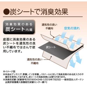 炭消臭 仕切り 収納ボックス 6ポケット 衣類...の詳細画像3