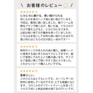 ＼ツヤが違う/コロニル collonil ポリ...の詳細画像2