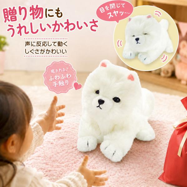 むにゃむにゃわんこ ポメちゃん 電池で 動く 犬 ぬいぐるみ おもちゃ 可愛い いぬ グッズ 鳴く ...