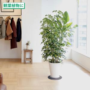 マルチ回転台 テレビ 20インチ 丸形 360...の詳細画像5