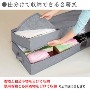 竹炭着物収納ケース 2層式 2段式 コジット ...の詳細画像3