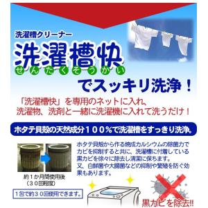 洗濯槽快セット 専用ネット付き 2包組×1 替...の詳細画像3