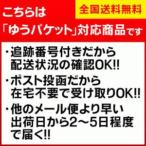 洗濯槽快セット 専用ネット付き 2包組×1 替...の詳細画像5