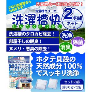 洗濯槽クリーナー 洗濯槽快 2包組 ネット付 ...の詳細画像1