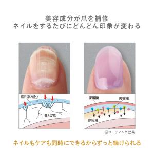 美爪の休日 プレミアム 爪の美容液 爪を保護す...の詳細画像5
