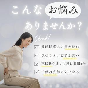 ボードクッション コシオス 腰痛 骨盤 クッシ...の詳細画像1