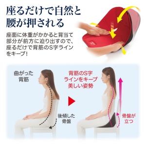 ボードクッション コシオス 腰痛 骨盤 クッシ...の詳細画像4
