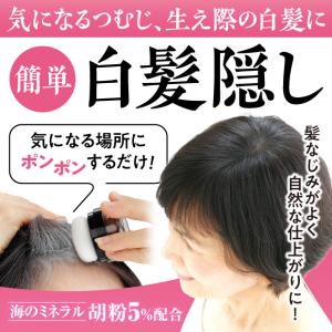 ＼簡単に白髪かくし/胡粉美人ヘアファンデ 白髪...の詳細画像1