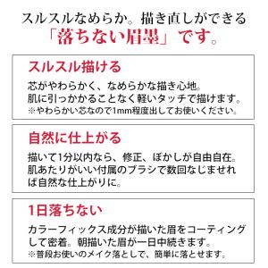アイブロウ 眉ペン パピリオ ステイブロウG ...の詳細画像2