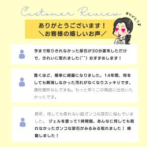 業務用 スカッと 尿石取り ジェル 尿石 落と...の詳細画像4