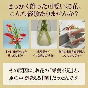 お花が長生きする 栄養剤 切り花 延命剤 ポン...の詳細画像2