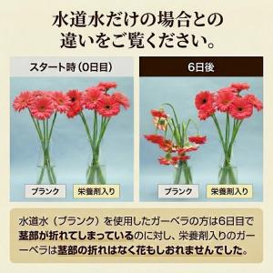 お花が長生きする 栄養剤 切り花 延命剤 ポン...の詳細画像4