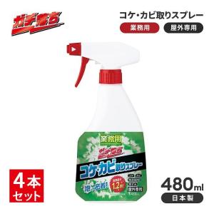 アサヒペン 屋外用 コケ・カビ・黒ずみ除去スプレー S-027 800g 外壁