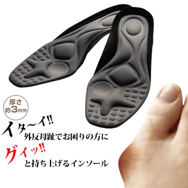 ガイハンインソール 外反母趾対策 22.0cm〜25.5cm 男女兼用 靴 中敷き インソール 中足...