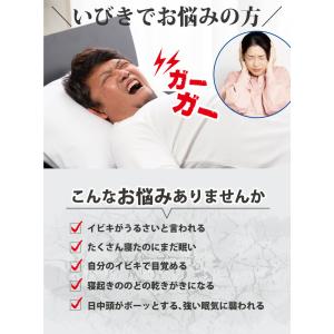 ディープレスト 枕 レギュラー/ロータイプ い...の詳細画像1