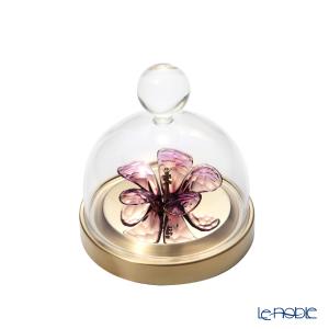 254/日展木彫作家 西田秀 木彫 牛彫刻「力闘 」☆木箱・布 ☆井波彫刻