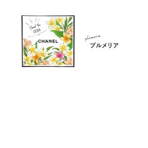 シャネル 香水 レディース アリュール EDT...の詳細画像5