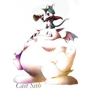 1-091 クラウド＆チョコボ (プレミアムカード) 】 ファイナル