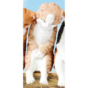 【スコティッシュ】 いっしょにねんね にゃんこ