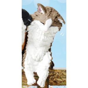 【ノルウェージャン】 いっしょにねんね にゃんこ