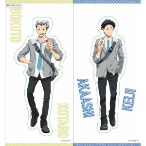 C*G様 ハイキュー!! にとたん 木兎光太郎 赤葦京治 lead-netstore_312410s135h4t20
