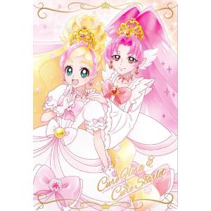 キュアフローラウエハースカード16枚 BANDAI（バンダイ） プリキュアカードウエハース9 No.23 キュア