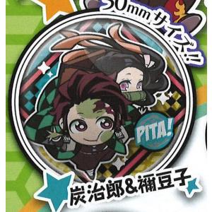 鬼滅の刃 無限城編 第一章描き下ろしイラスト 75mm飾れる缶バッジ 時透無一郎 鬼滅の刃 無限城編 描き下ろしイラスト 飾れる 缶バッチ 時透 無一郎