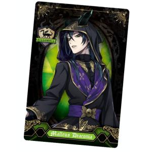 BANDAI（バンダイ） ディズニー ツイステッドワンダーランド