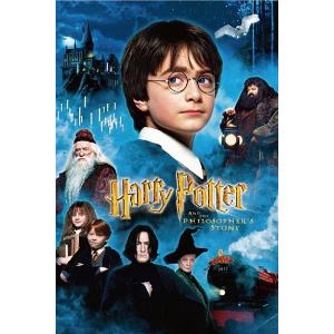 Harry Potter カードゲーム 01-003 ハリー・ポッター (SR スーパーレア