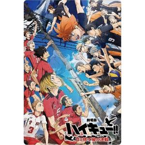 及川徹＆岩泉一】ハイキュー!! ビジュアルクリアチケット